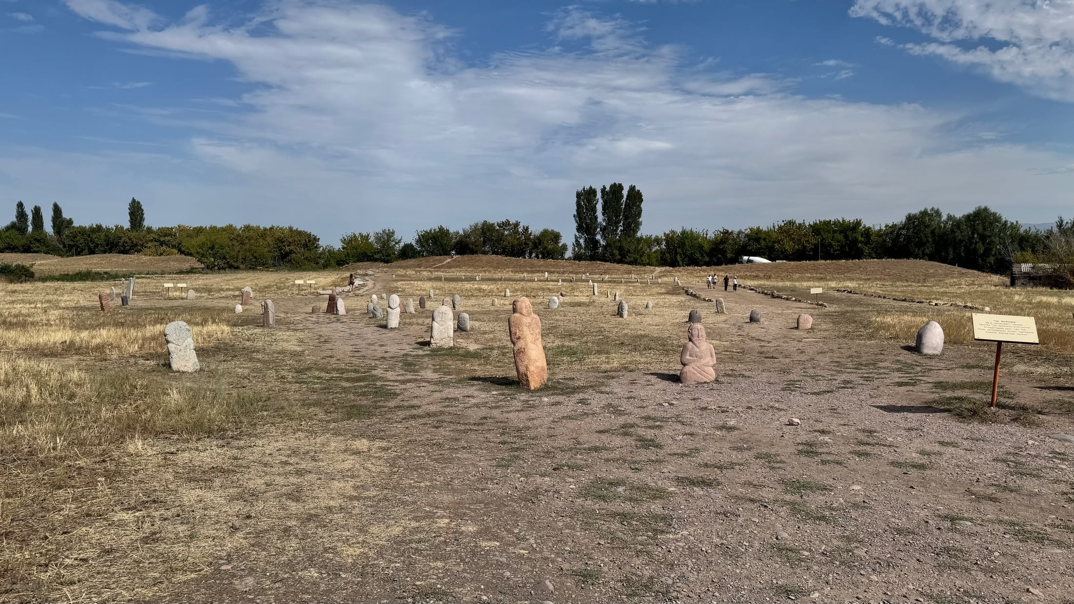 Il campo dei balbal: stele funerarie turche di pietra piantate nell'erba secca in file irregolari, con i pioppi sullo sfondo
