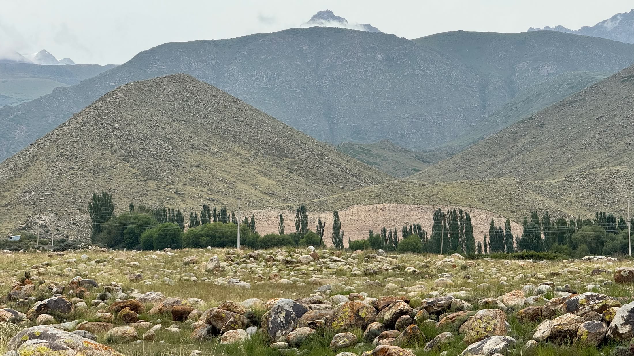 Le montagne verdi dietro il sito dei petroglifi, con una fascia di pioppi scuri e i massi in primo piano