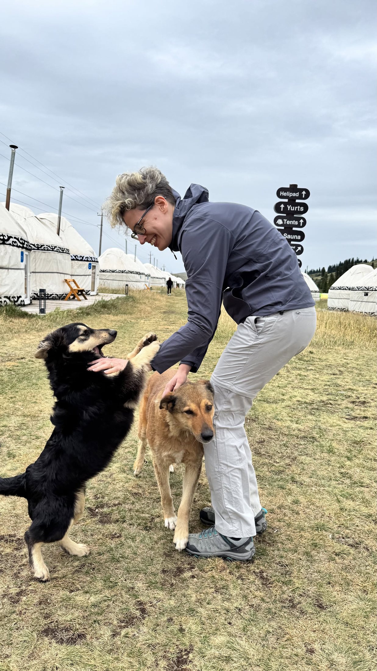 I due cani del campo che fanno le feste appena scesi dal pullman