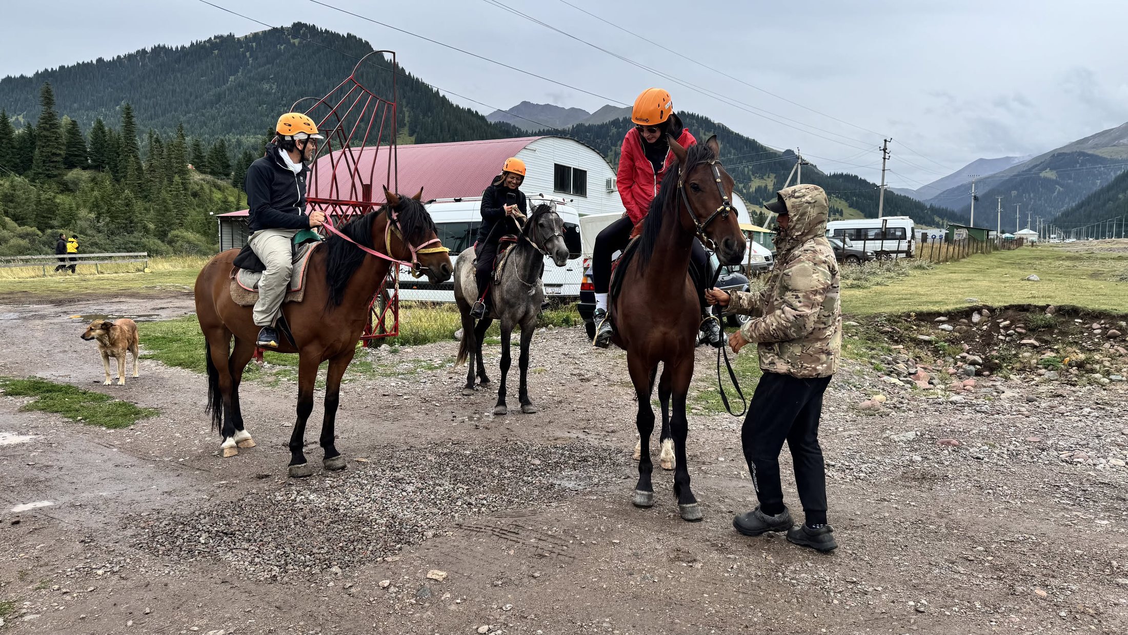 Cavalli sellati e cavalieri con il caschetto arancione che rientrano al campo lungo la sterrata
