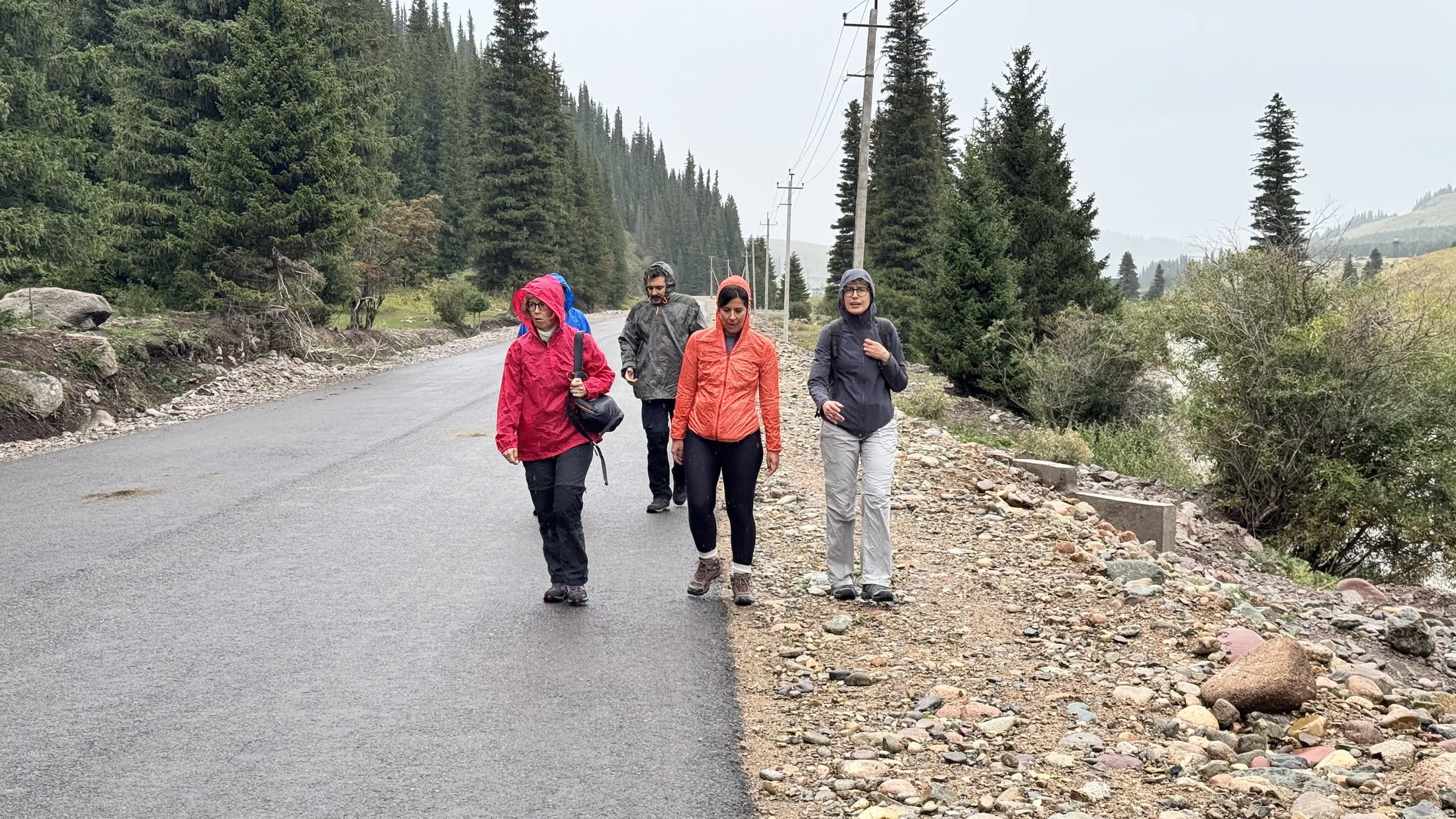 Il gruppo che risale la strada asfaltata in mezzo agli abeti, giacche colorate contro il grigio