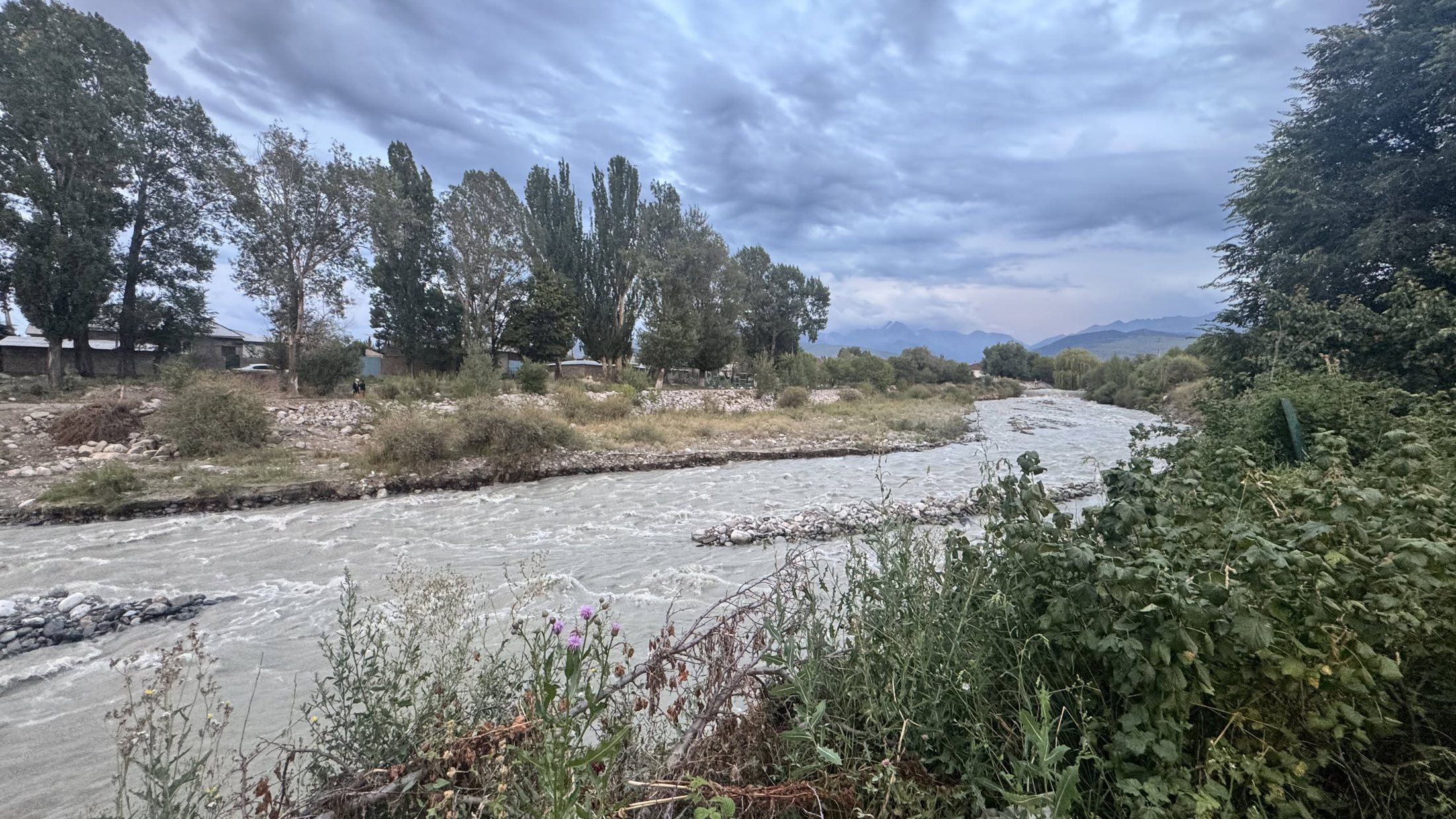 Il fiume che scende dietro gli alberi, con le montagne sullo sfondo