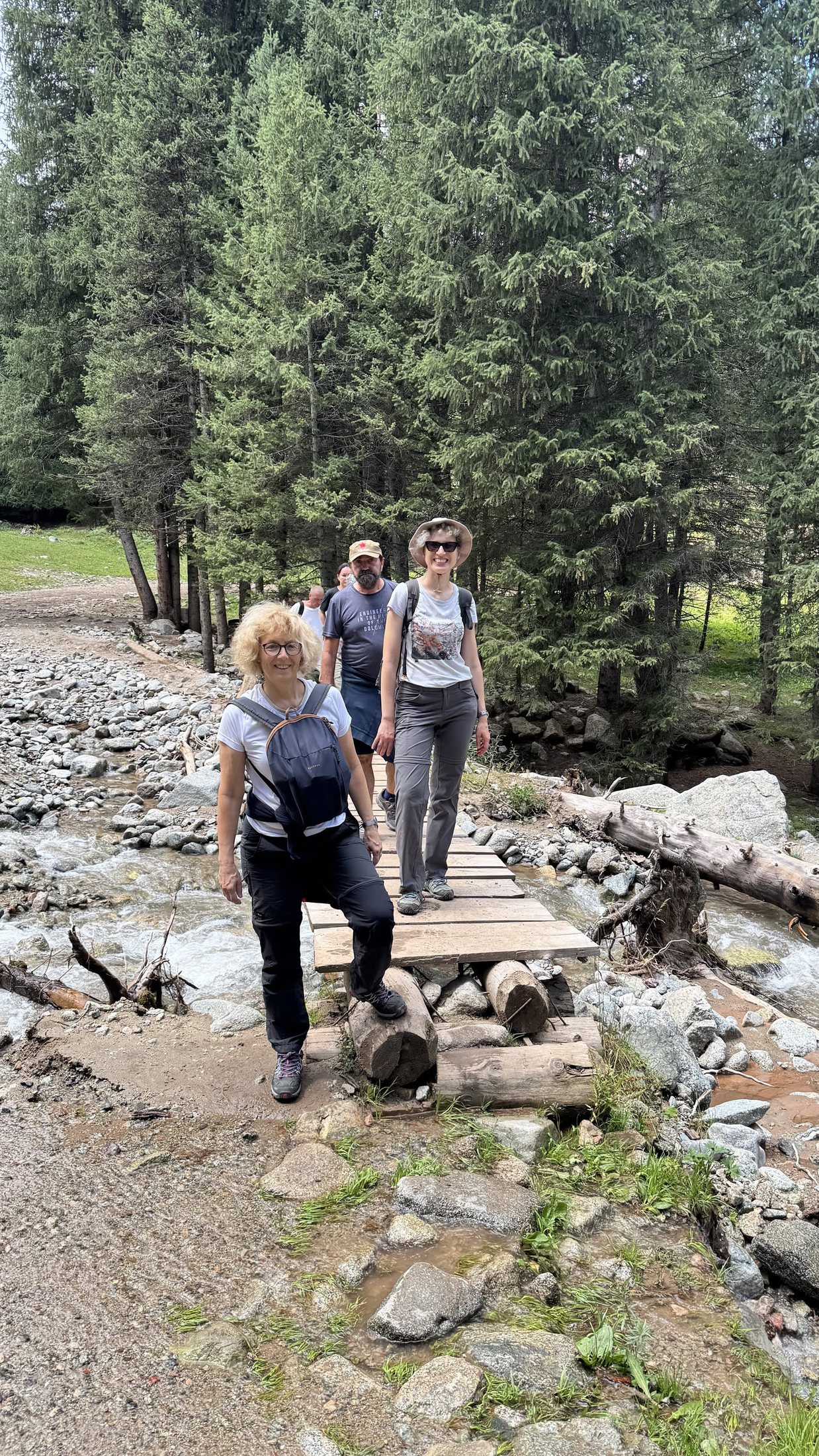 Il ponticello di legno sul torrente, sulla via del ritorno.