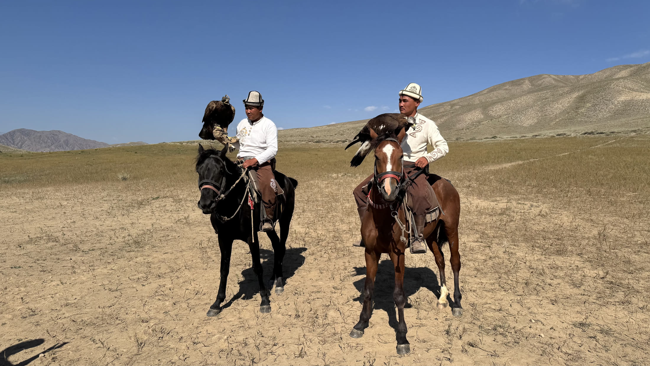 Due berkütchü a cavallo, ognuno con la sua aquila sul guanto.