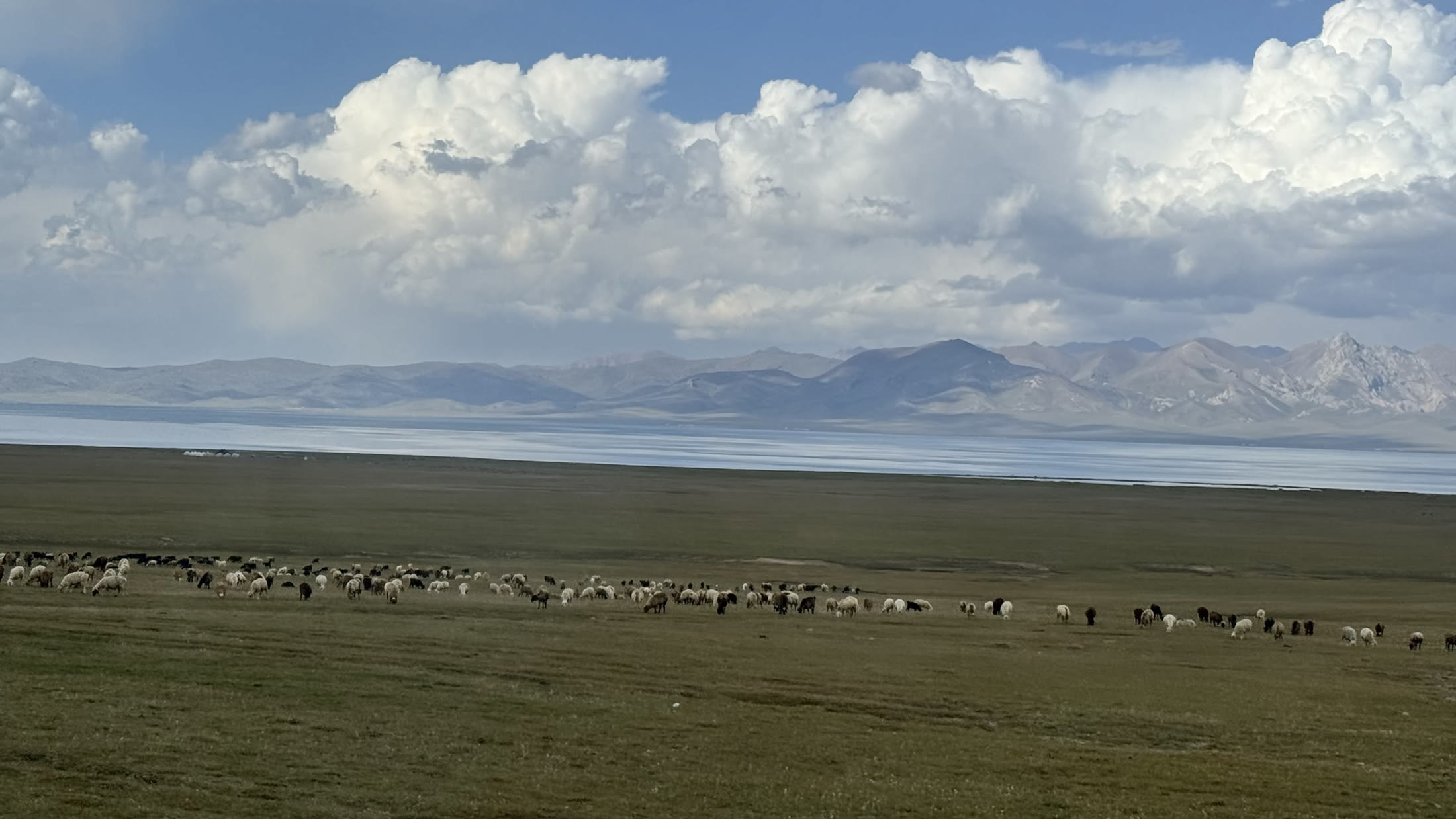 Oltre il passo: l'altopiano, le mandrie e la prima striscia di lago.