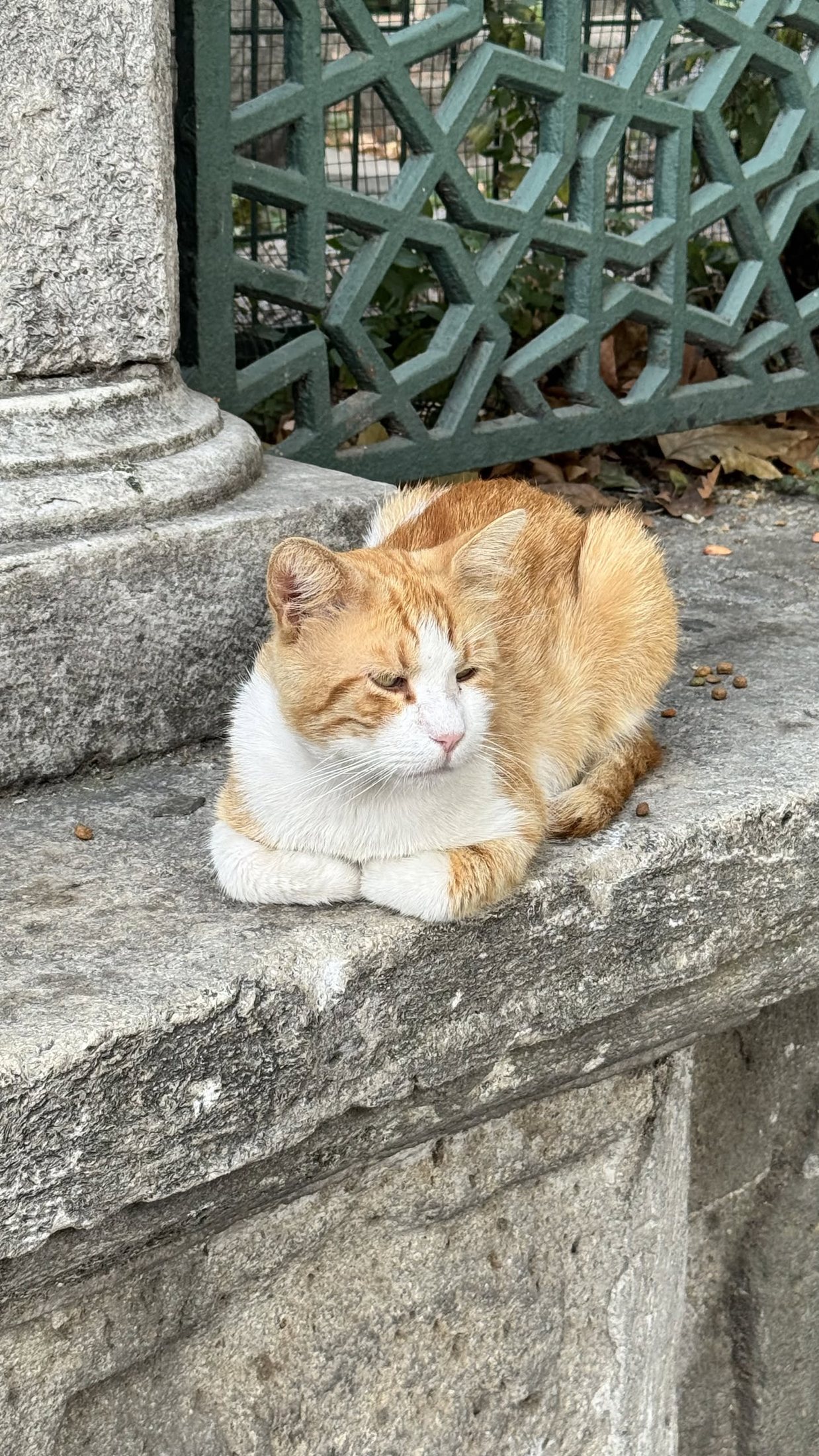 All'ombra della colonna, dove la pietra resta fredda tutto il giorno.