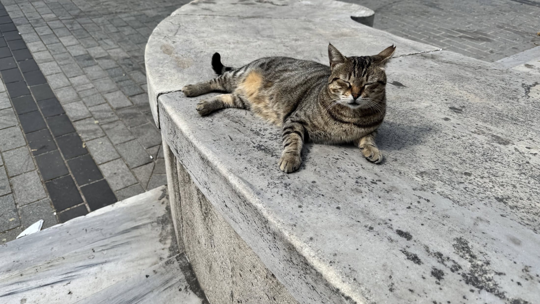 Sultanahmet, dieci del mattino: il marmo è ancora fresco e il posto è già occupato.
