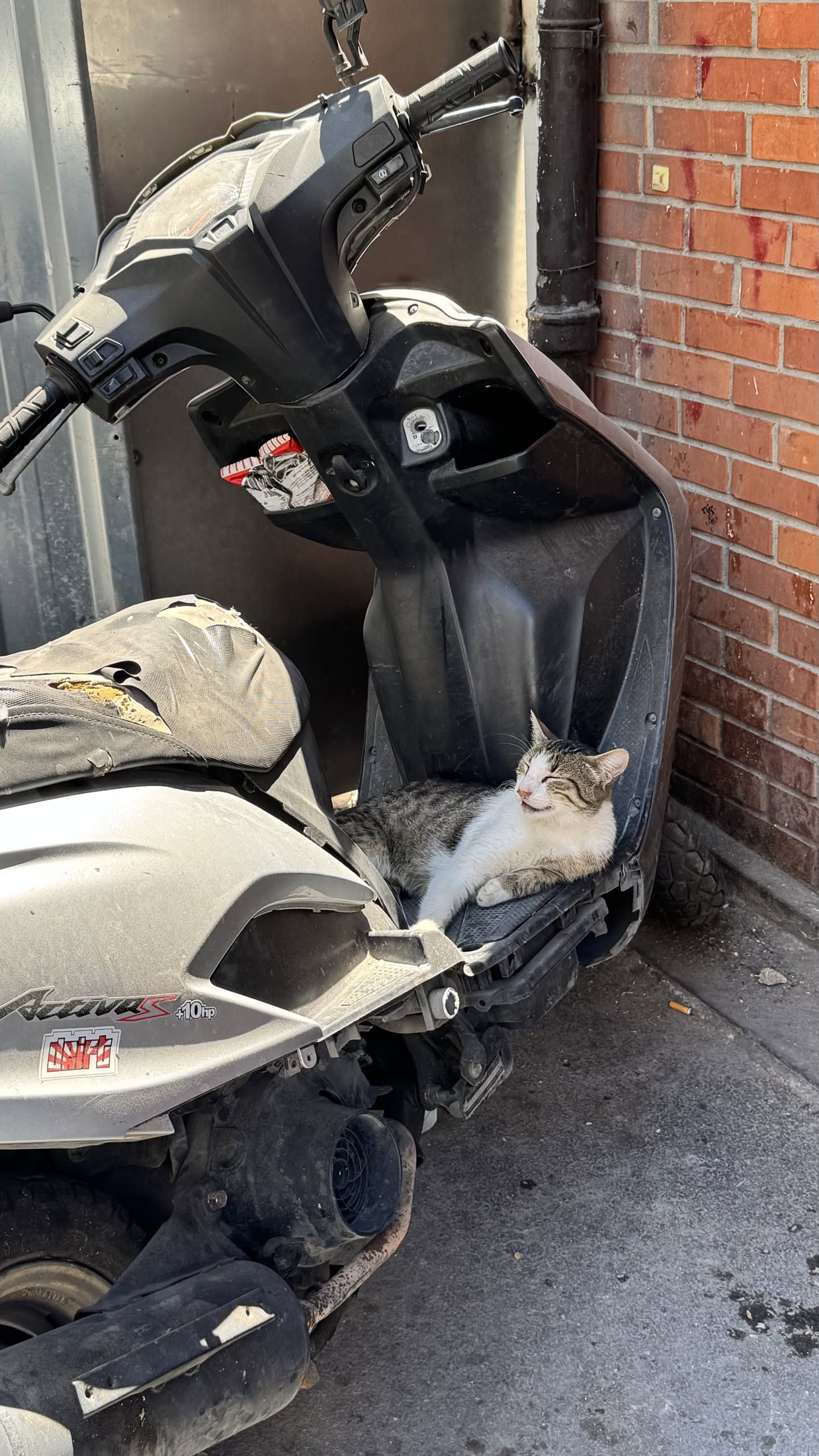 Sella occupata. Il proprietario dello scooter, presumibilmente, lo sa.