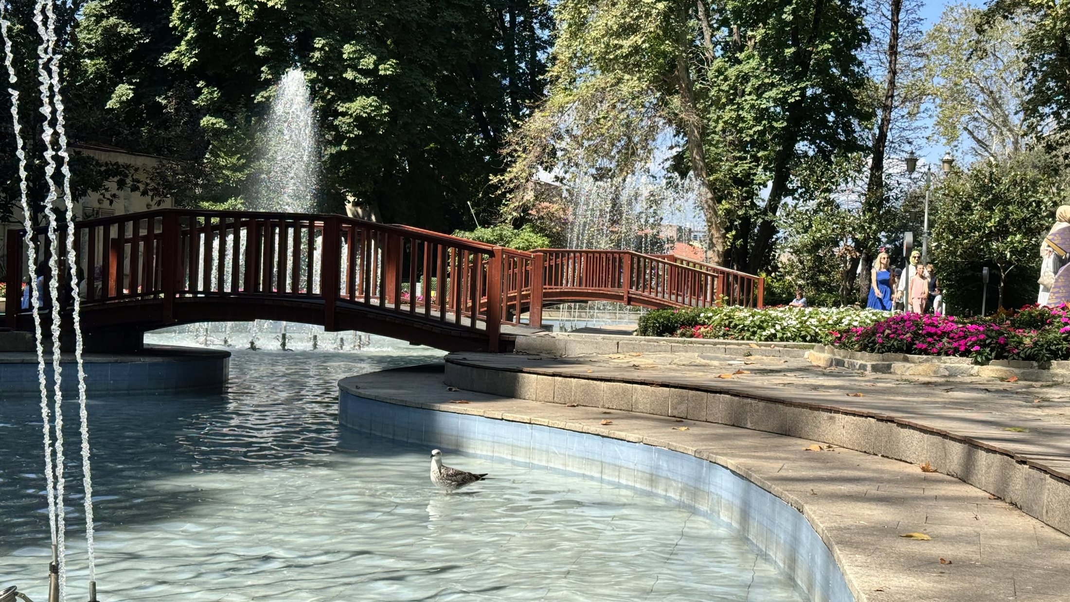 Gülhane, il giardino di fuori: fontane, ombra e un gabbiano che fa il bagno.