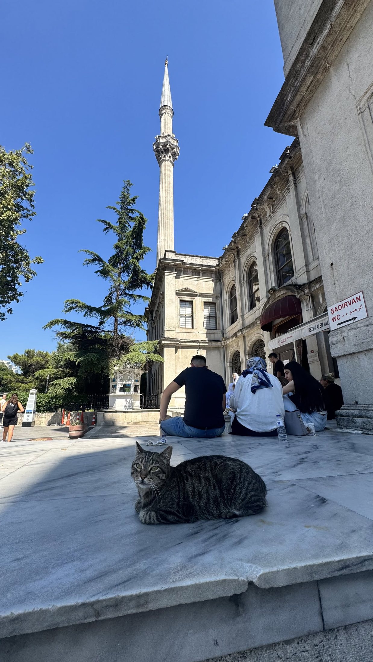 Un gatto nero, un minareto, nessuna fretta.