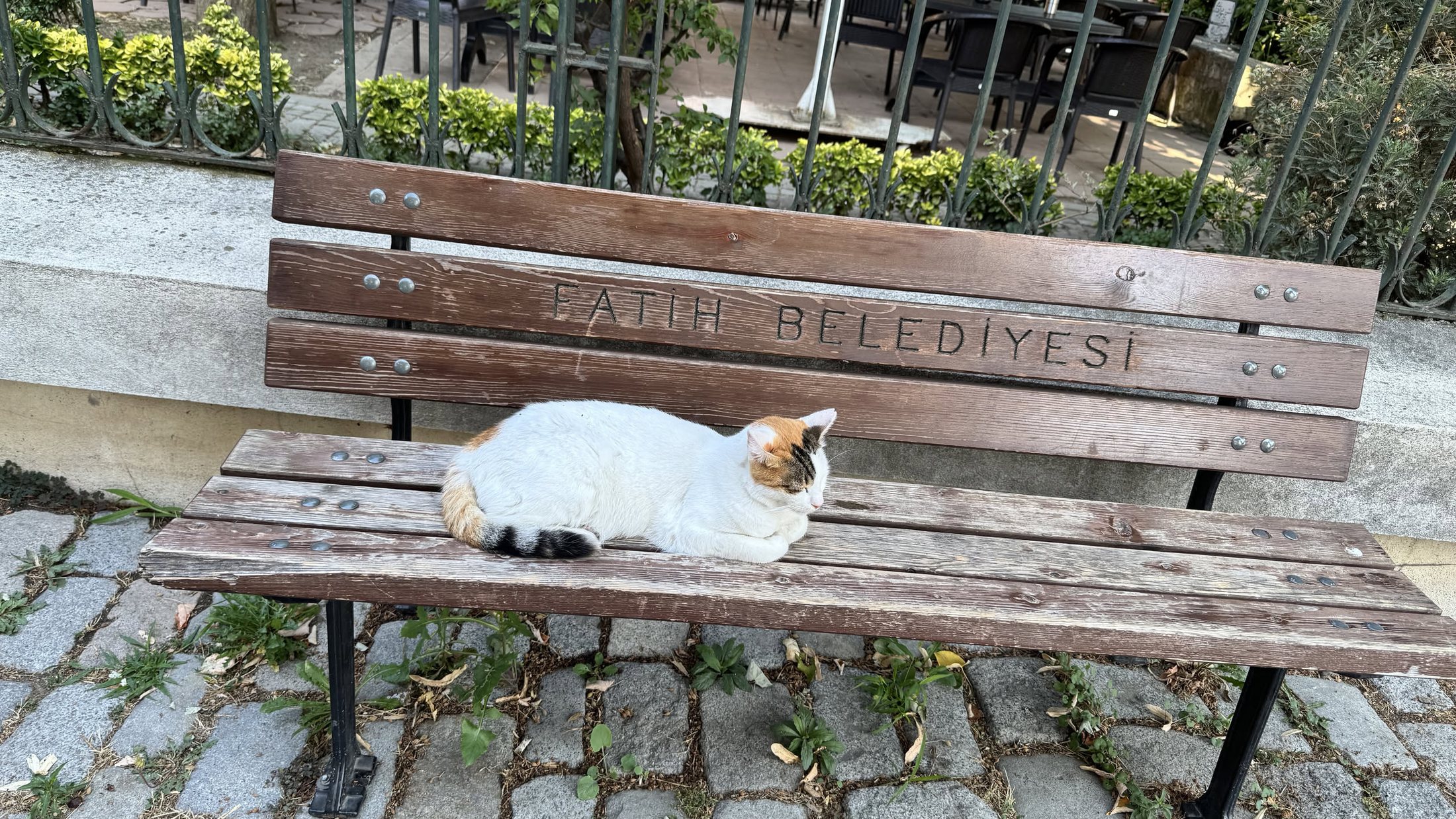 Panchina del comune di Fatih. Uso esclusivo.