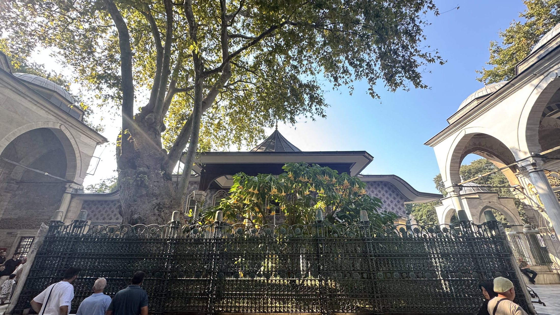 Il cortile con i platani secolari. Mezz'ora seduti, e ci stava.