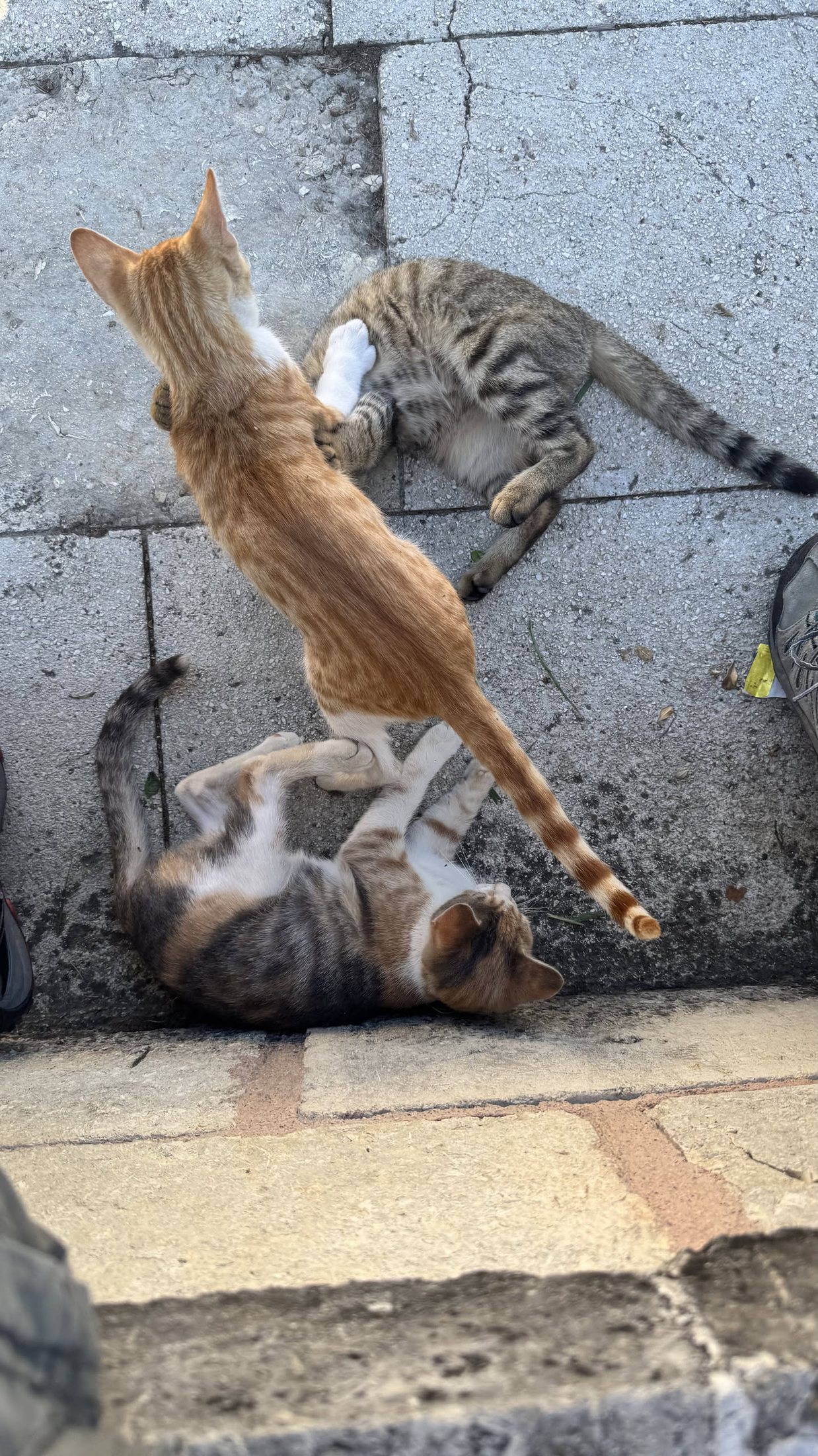 Ombra spartita in due, con criterio.