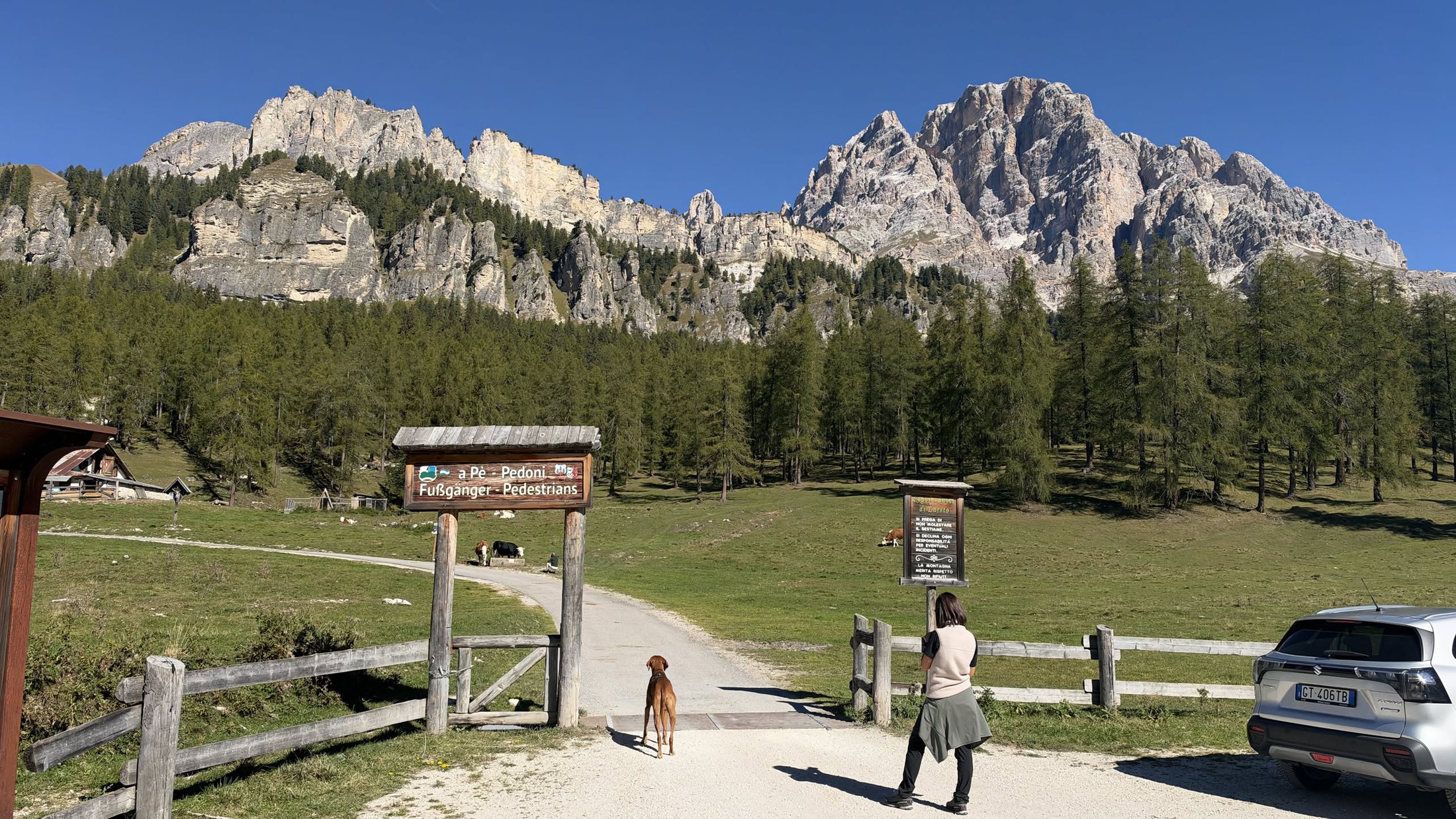 L'ingresso del Lariceto. Il cane non è nostro, ma aveva la nostra stessa fretta