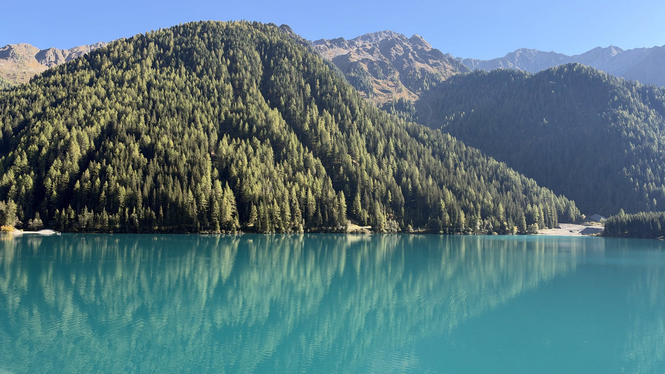 Il bosco che scende nel lago, verde nel verde