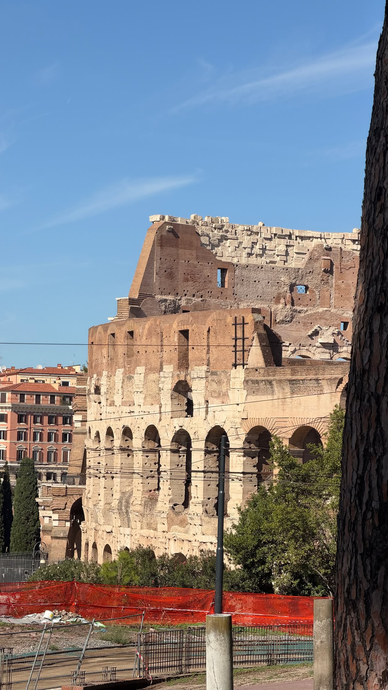 Il Colosseo fra gli alberi del Parco del Celio.