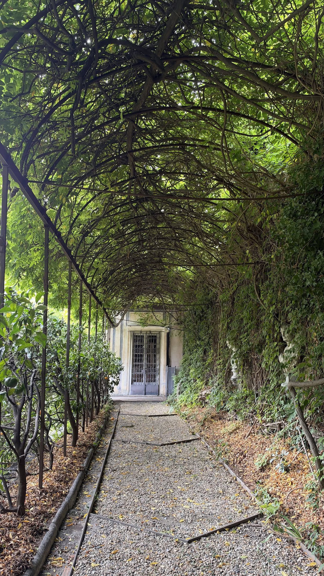 La pergola lungo il lato del giardino.