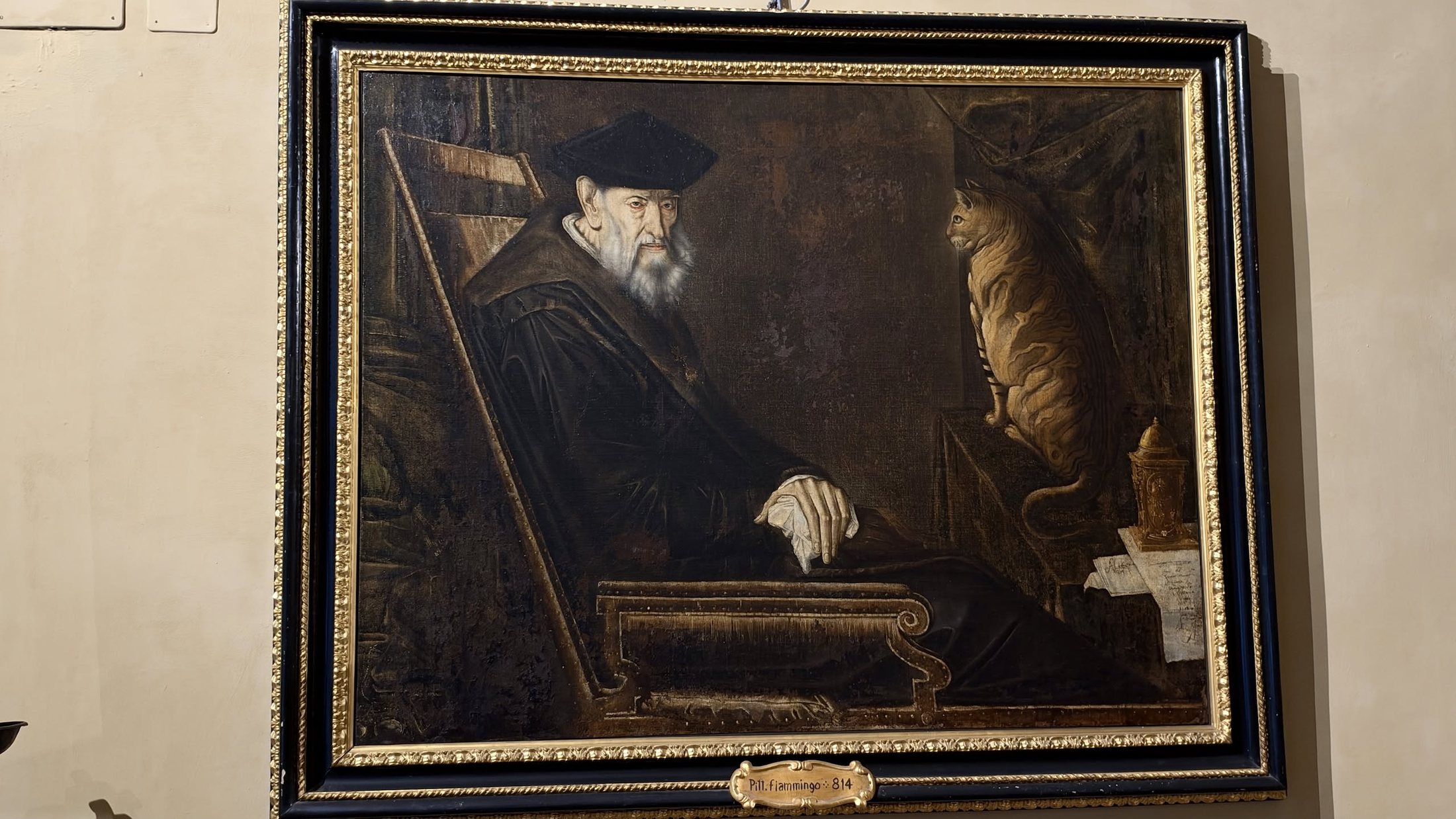 Il ritratto di Andrea Doria vecchio, con il gatto.