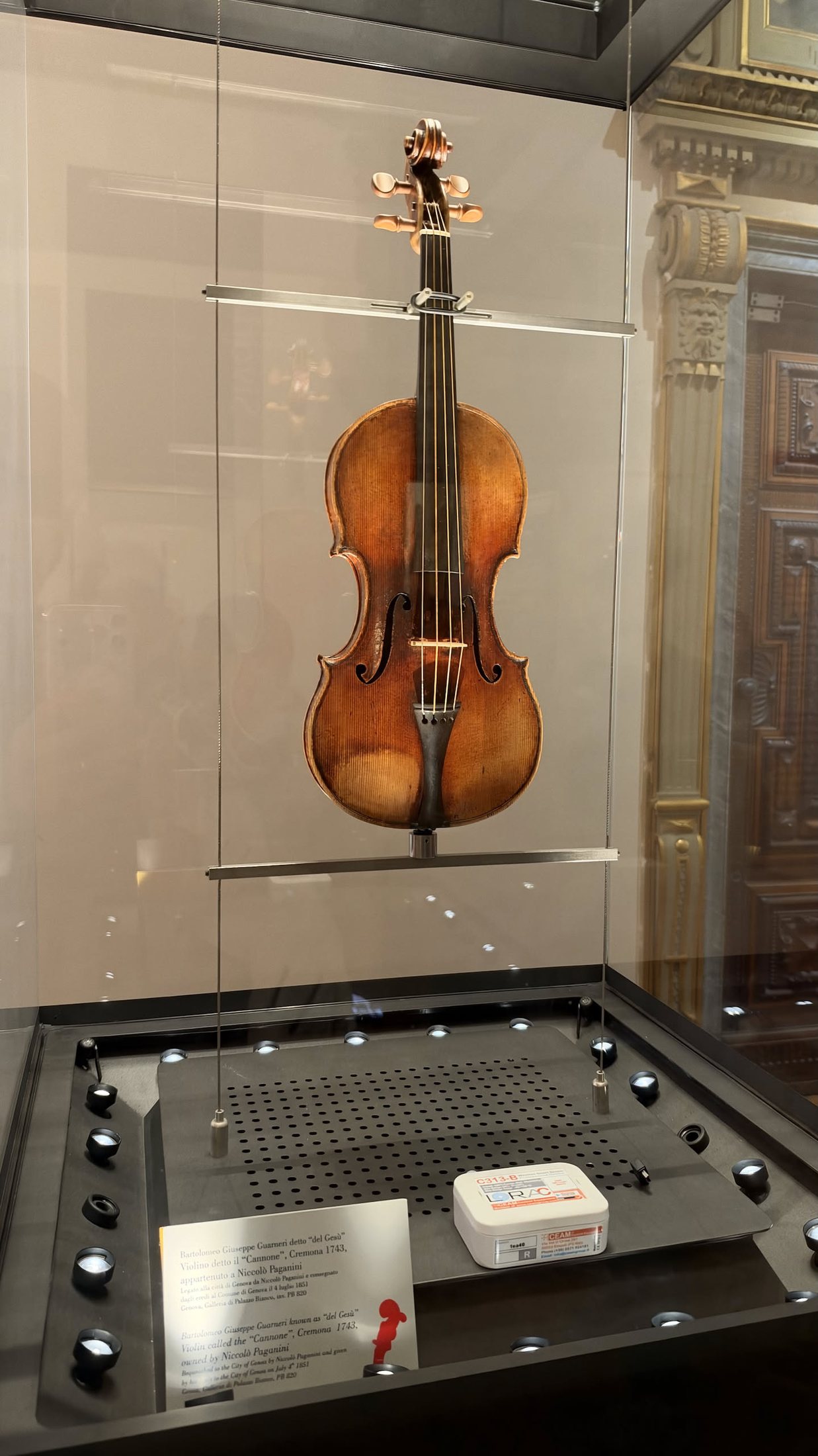 Il Cannone, il violino di Paganini, nella sua teca.
